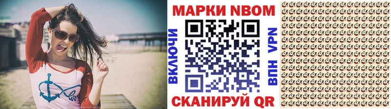 mega ссылки  Пудож  Марки NBOMe 1500мкг  где купить наркоту 