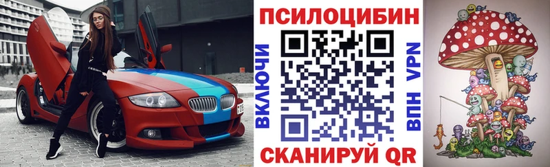Галлюциногенные грибы Psilocybe  Пудож 